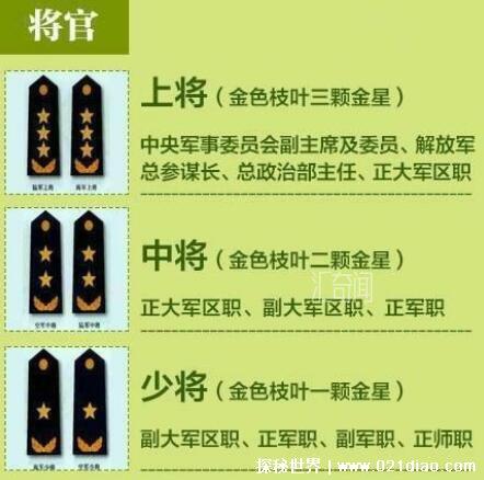 中国的军衔等级肩章排列图片及标志（中国所有军衔的肩章图片及名称）(4)