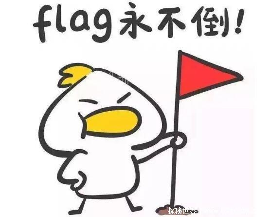 立flag是什么意思中文(2)