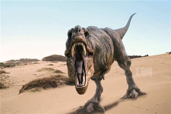 恐龙是怎样灭绝的真正原因（恐龙灭绝的真相）(4)