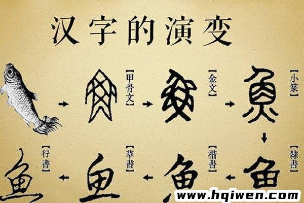 汉字演变都经过了哪几个过程（汉字演变过程的正确顺序）(1)