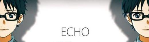 echo的中文意思是什么？(1)