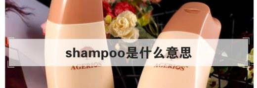 shampoo是什么意思？(1)