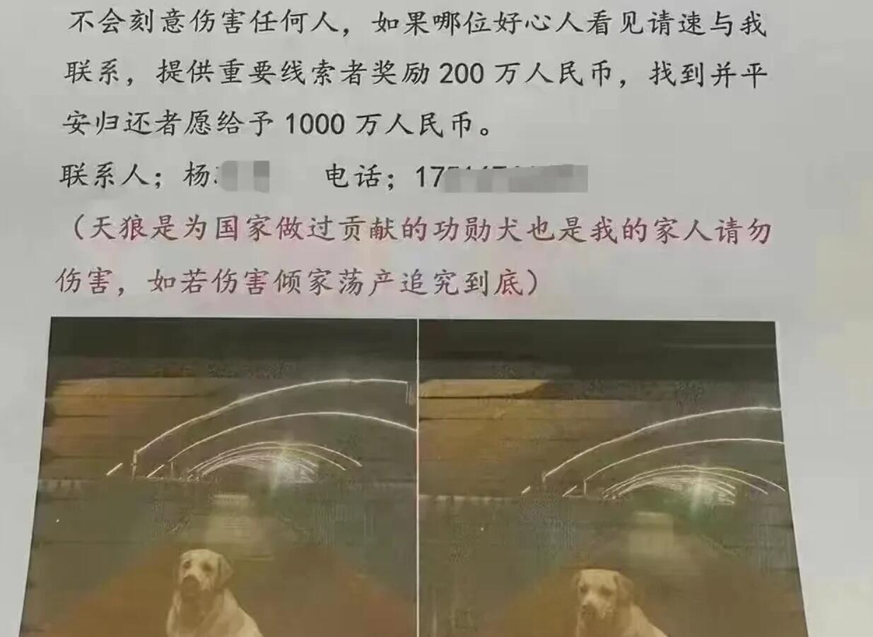 郑州悬赏千万的狗已找到（主人给了5000）(1)