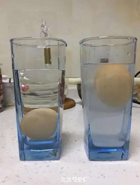 盐水浮鸡蛋的原理（学名叫做阿基米德定理属于物理学知识）(2)
