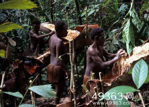 探访新几内亚岛食人族（女人没有权利）(1)