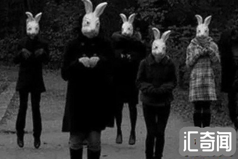十只兔子的故事答案图片（十只兔子谁才是凶手?）(2)