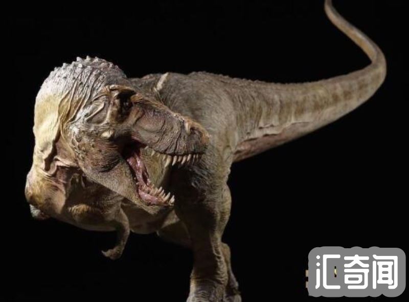 世界上最凶猛的十大恐龙排名(侏罗纪晚期霸王龙几乎无敌霸主)(3)