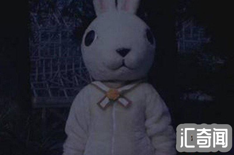 十只兔子的故事答案图片（十只兔子谁才是凶手?）(4)