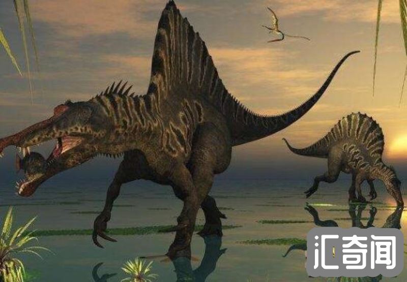 世界上最凶猛的十大恐龙排名(侏罗纪晚期霸王龙几乎无敌霸主)(2)