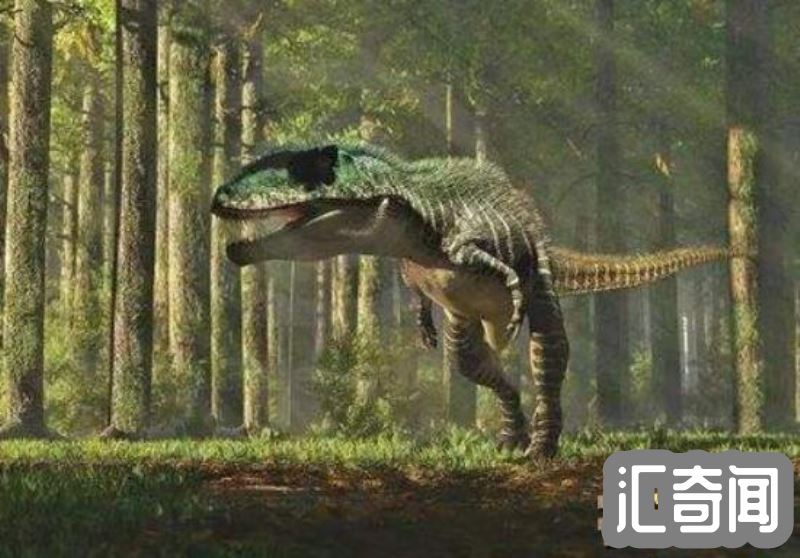 世界上最凶猛的十大恐龙排名(侏罗纪晚期霸王龙几乎无敌霸主)(4)
