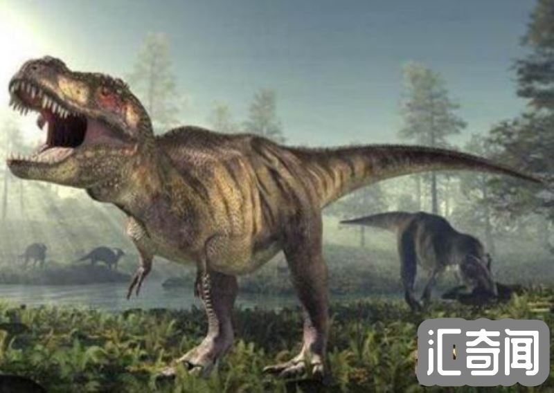 世界上最凶猛的十大恐龙排名(侏罗纪晚期霸王龙几乎无敌霸主)(1)