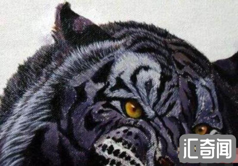 黑蓝虎灭绝了吗(疑似在世界上消失匿迹传说动物)(4)