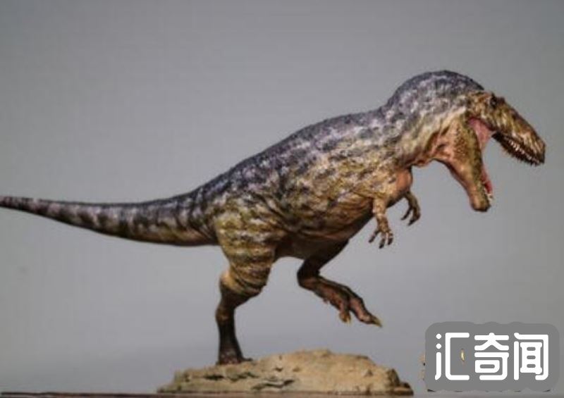 世界上最凶猛的十大恐龙排名(侏罗纪晚期霸王龙几乎无敌霸主)(10)