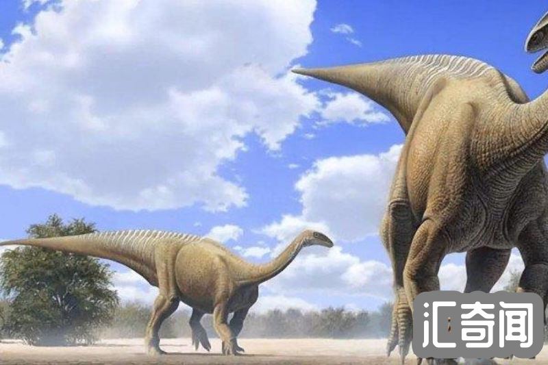 易碎双腔龙是世界上最大的恐龙吗(可能是体重超过蓝鲸)(2)