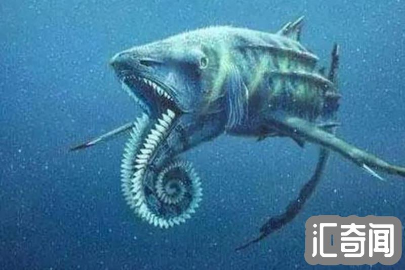 旋齿鲨简介（拥有奇特的牙齿灭绝于2.5亿年前）(4)
