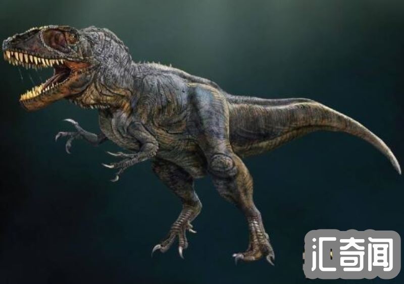 世界上最凶猛的十大恐龙排名(侏罗纪晚期霸王龙几乎无敌霸主)(7)