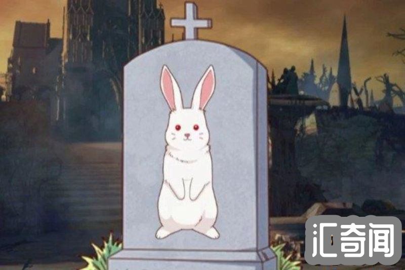 十只兔子的故事答案图片（十只兔子谁才是凶手?）(1)