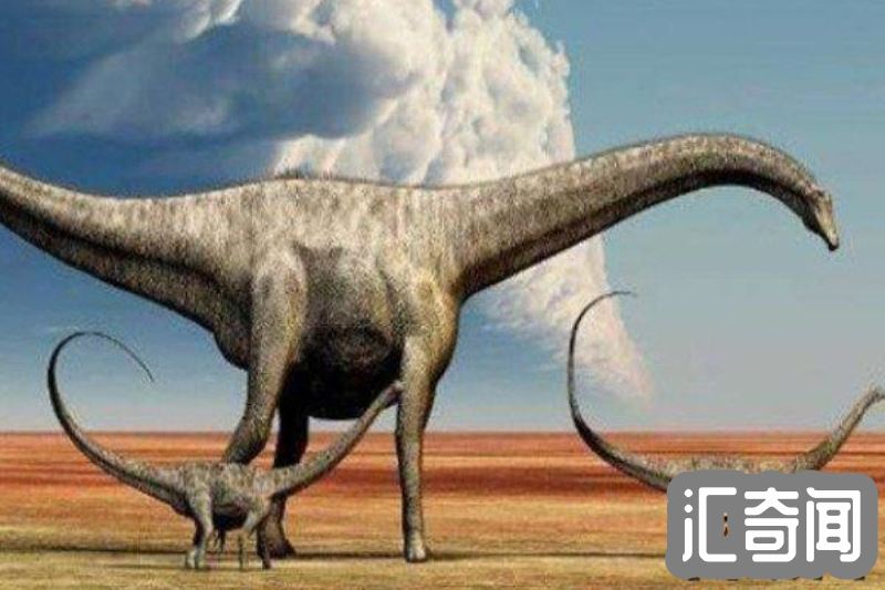易碎双腔龙是世界上最大的恐龙吗(可能是体重超过蓝鲸)(3)
