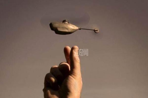 世界上最小的直升机(全长仅长16厘米只有一只蜂鸟大小)(2)