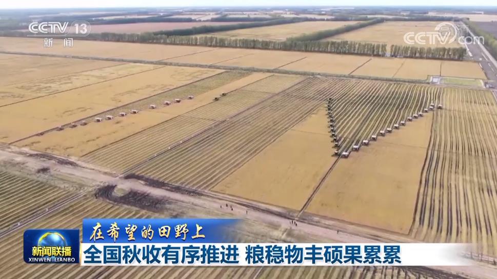 农业农村部最新农情调度显示（秋粮已收获超过2.9亿亩）(1)